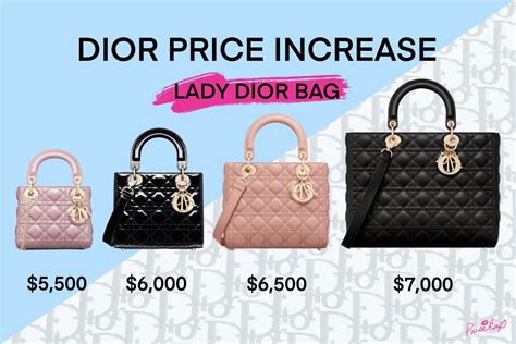 dior bag france price|Dior bag price list.